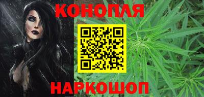 прущие крисы Ставрополь