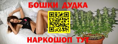 прущие крисы Ставрополь